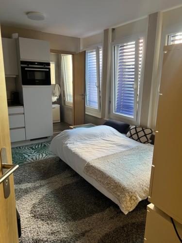 a bedroom with a large bed and two windows at Lake Studio in La Tour-de-Peilz