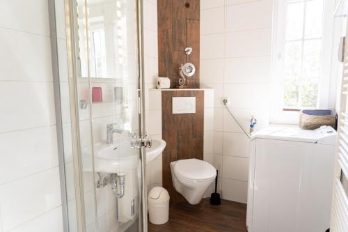 a bathroom with a shower and a toilet and a sink at Lister Tor 01 in List