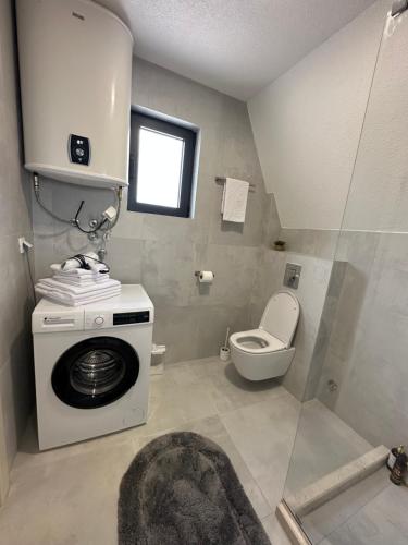 a bathroom with a washing machine and a toilet at Durmitor Panorama in Žabljak