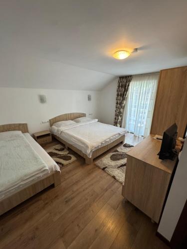 a bedroom with two beds and a desk and a television at Pensiunea Edy in Statjunea Borsa