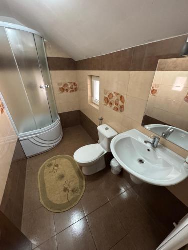 a bathroom with a toilet and a sink at Pensiunea Edy in Statjunea Borsa