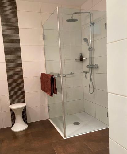 a shower with a glass door in a bathroom at Antoinettes Ferienwohnung in Ilmenau