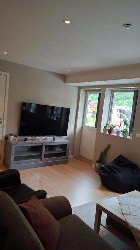 Gallery image of apartment in Stryn