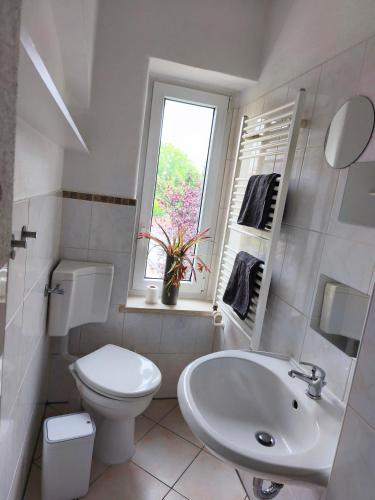 a bathroom with a toilet and a sink and a window at FeWo Dresden-Hellerau in Dresden