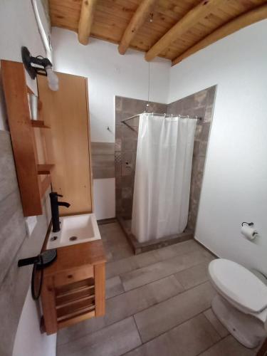 a bathroom with a shower with a toilet and a sink at Casa Petricor in Río Tercero