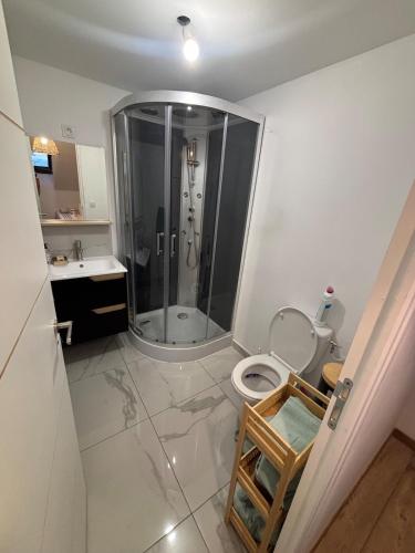a bathroom with a shower and a toilet at Le Cocon in Boulogne-sur-Mer
