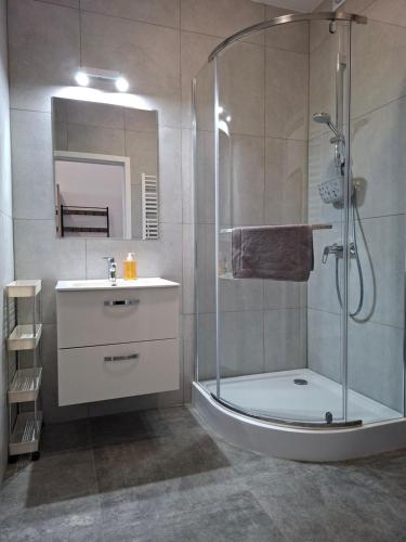 a bathroom with a shower and a sink at WINNICA 61 - Pokoje in Krotoszyce