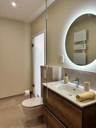 a bathroom with a sink and a mirror at Le Studio Côté Cour in Oberbetschdorf