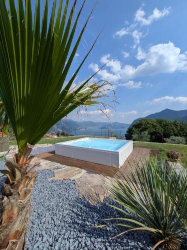 a swimming pool in a garden with a palm tree at Corte Furmignano in Solto Collina