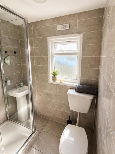 a bathroom with a toilet and a shower and a sink at 18 river view chalet-Glan Gwna Holiday Park in Caernarfon