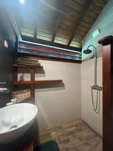 a bathroom with a sink and a shower at Lodge Ti Zaboka , SPA Privatif in Les Abymes