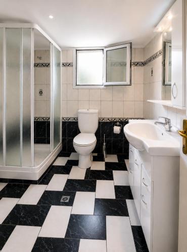 a bathroom with a toilet and a shower and a sink at Kolhida home in Kilkis