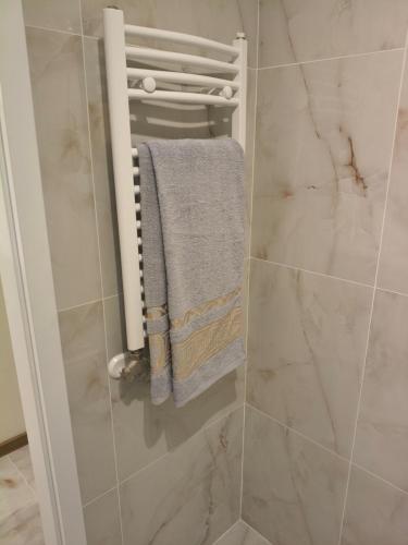 a bathroom with a towel rack in a shower at Apartament Matki Polki II in Łódź