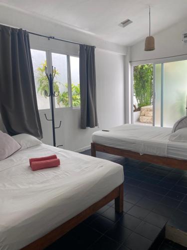 a bedroom with two beds and a window at Caribo Cozumel in Cozumel