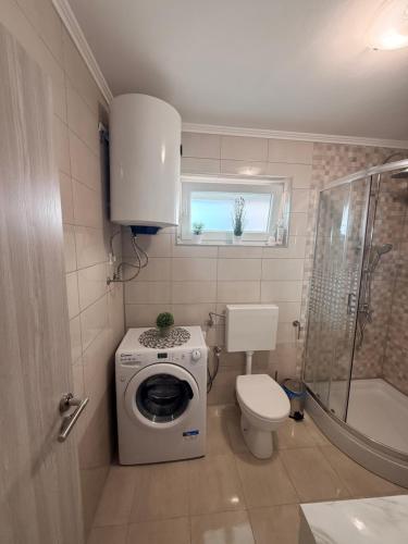 a bathroom with a washing machine and a toilet at Apartmani Lucija 3 in Zubovići