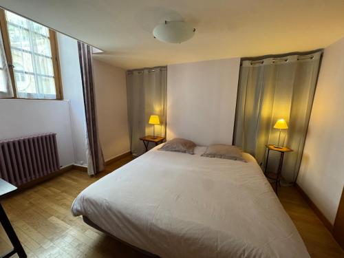 Superbe appart, hôtel particulier, coeur de Dijon