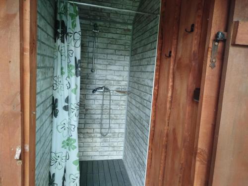 a bathroom with a shower with a shower curtain at Pole u Daniela in Grzybina