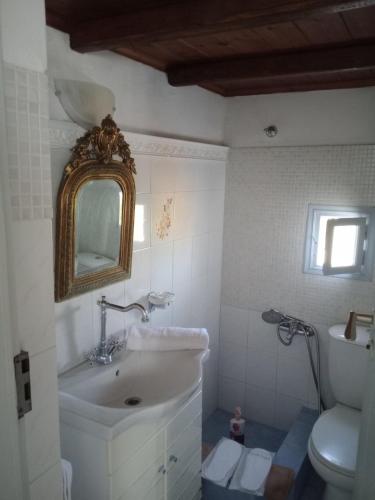 a bathroom with a sink and a toilet and a mirror at Nyfes Traditional Boutique Vagelio in Skiros