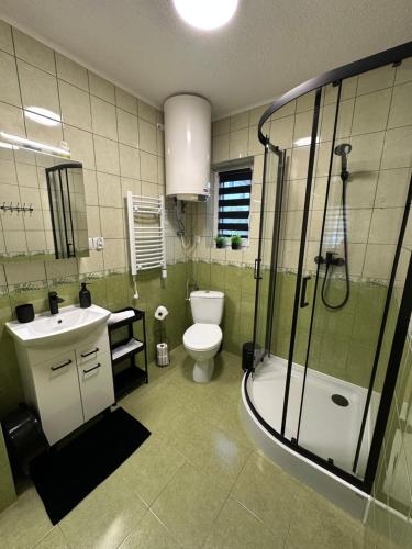 a bathroom with a toilet and a sink and a shower at Domki u Marka in Polańczyk
