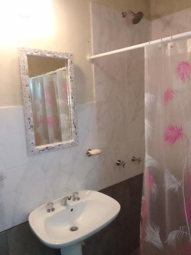 a bathroom with a sink and a mirror and a shower at El Espinillo in La Falda
