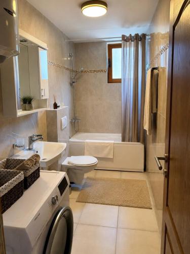 a bathroom with a sink and a toilet and a shower at Adriatic Monte Apartments in Tušupi