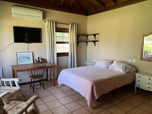 a bedroom with a bed and a desk and a television at La Huerta in Tacoronte
