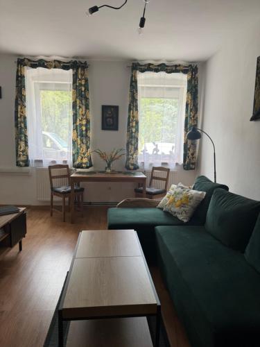 a living room with a green couch and a table at Apartament Zimowa 16 in Srebrna Góra