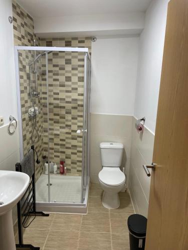 a bathroom with a shower and a toilet and a sink at Casa do Terrado in Tourém