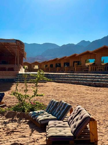 two chaise lounges in the desert with mountains in the background at Sina life camp in Nuweiba