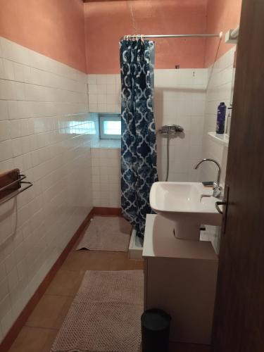 a bathroom with a shower curtain and a sink at Les sources de la Loire 2 in Sainte-Eulalie