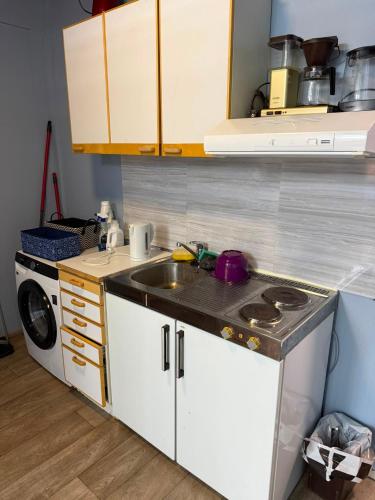 a kitchen with a sink and a washing machine at YKI Room in Oulu