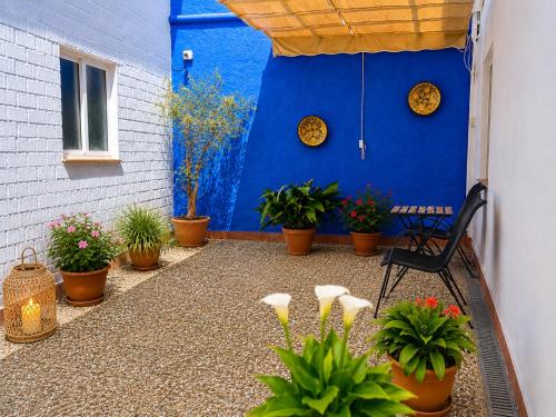 a patio with potted plants and a blue wall at Hostal El Faro in Chipiona