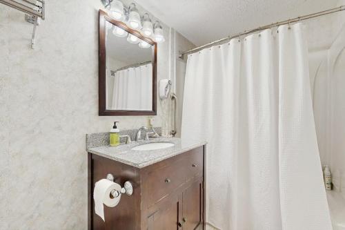 a bathroom with a sink and a shower curtain at Newly-furnished condo with loft, fast WiFi, partial AC, grills & yard access in Bar Harbor