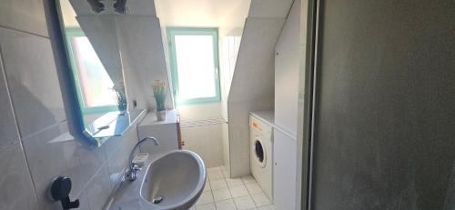 a bathroom with a sink and a washing machine at Le logis de l'Ajolaise in Vielle-Aure