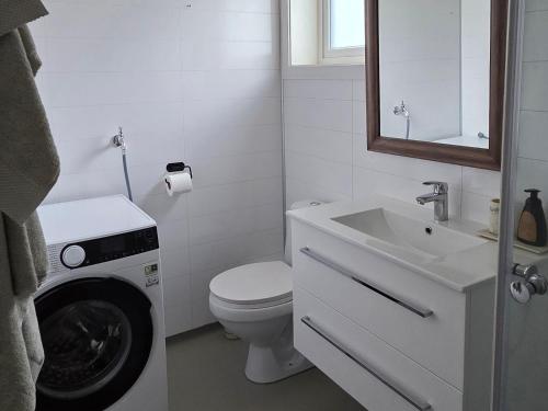 a bathroom with a toilet and a sink and a washing machine at Fjordside Apartment in Åndalsnes