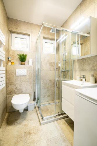 a bathroom with a shower and a toilet and a sink at Fövenyes Hideaway in Balatonudvari