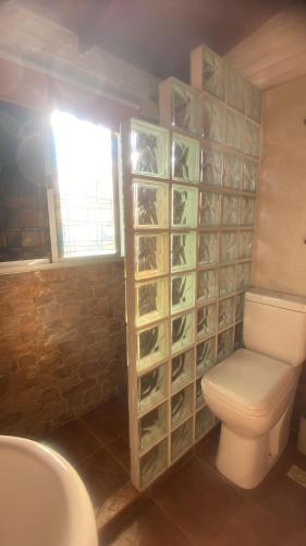 a bathroom with a toilet and a wall of wine bottles at Armonía in Villa Serrana