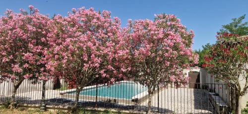 Mas Crillones avec Piscine - familles & groupes