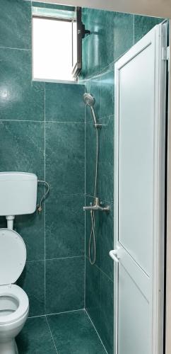 a green bathroom with a toilet and a shower at Hostel Backpacker in Ulcinj