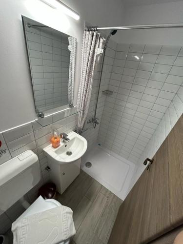 a bathroom with a shower and a sink and a toilet at Casa Todor Fundata in Fundăţica