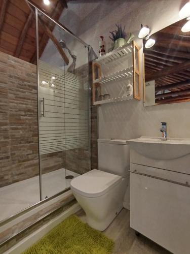 a bathroom with a toilet and a shower and a sink at Coqueto estudio con terraza in La Zubia