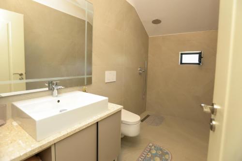 a bathroom with a sink and a toilet and a mirror at Guesthouse Micaj LUNI in Himare
