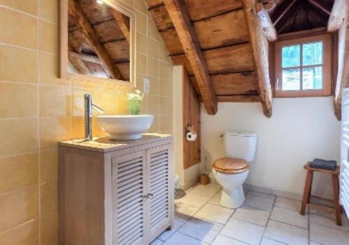 a bathroom with a sink and a toilet at La Maison d'Aimée in Vielle-Aure