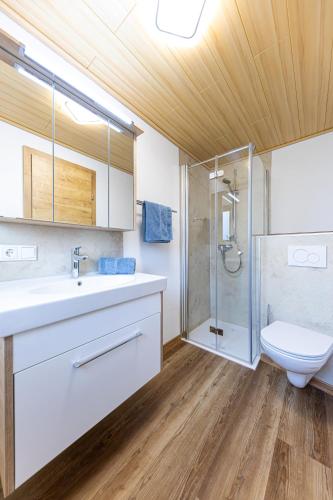 a bathroom with a shower and a sink and a toilet at Bergbauernhof Familienparadies Oberhasenberghof in Taxenbach