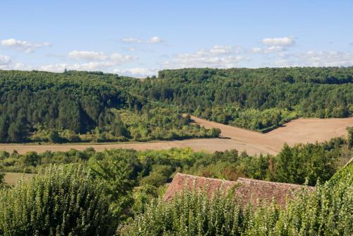 an aerial view of a field and trees at Hôtel Restaurant De La Poste & Du Lion D'or in Vézelay