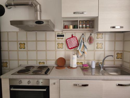 a small kitchen with a sink and a stove at Casa Roncopiano in Cabanne