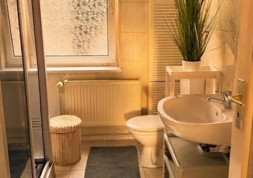 a bathroom with a toilet and a sink with a plant at Harzer Domschatz-Auszeit Monteure - Einzelbetten in Halberstadt