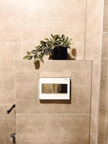 a microwave on a wall with two potted plants at Zs Apartment in Tuzla