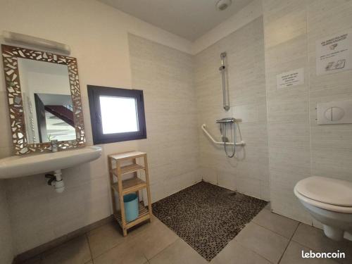 a bathroom with a sink and a toilet and a mirror at Gîte Le petit Fresnay in Le Bourgneuf-la-Forêt