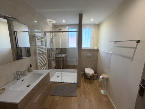 a bathroom with a shower and a sink and a toilet at Meublé de Tourisme Le Swing in Marsannay-la-Côte
